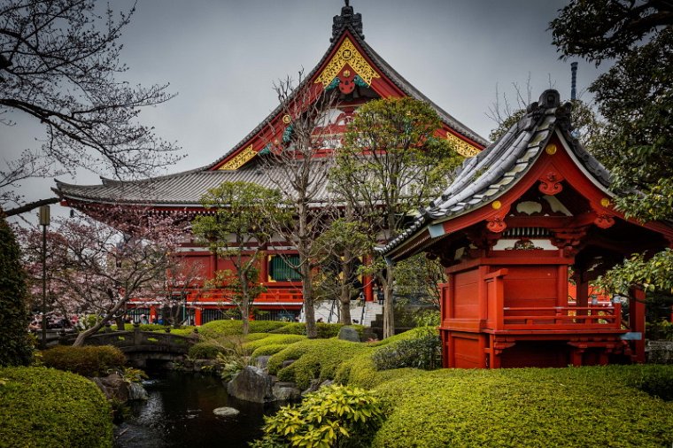 10 Tokyo, senjo-ji tempel.jpg